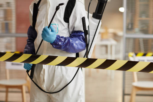 Professional Sewage Cleanup technician working in Benton City, WA